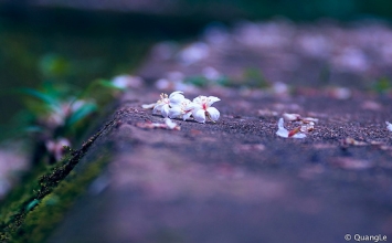 Mọi người đều có sẵn